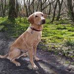 A painting of a dog in the woods.
