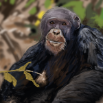 A painting of a monkey.