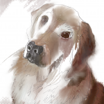 A watercolour style painting of a dog.