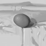 A black and white study of an egg.